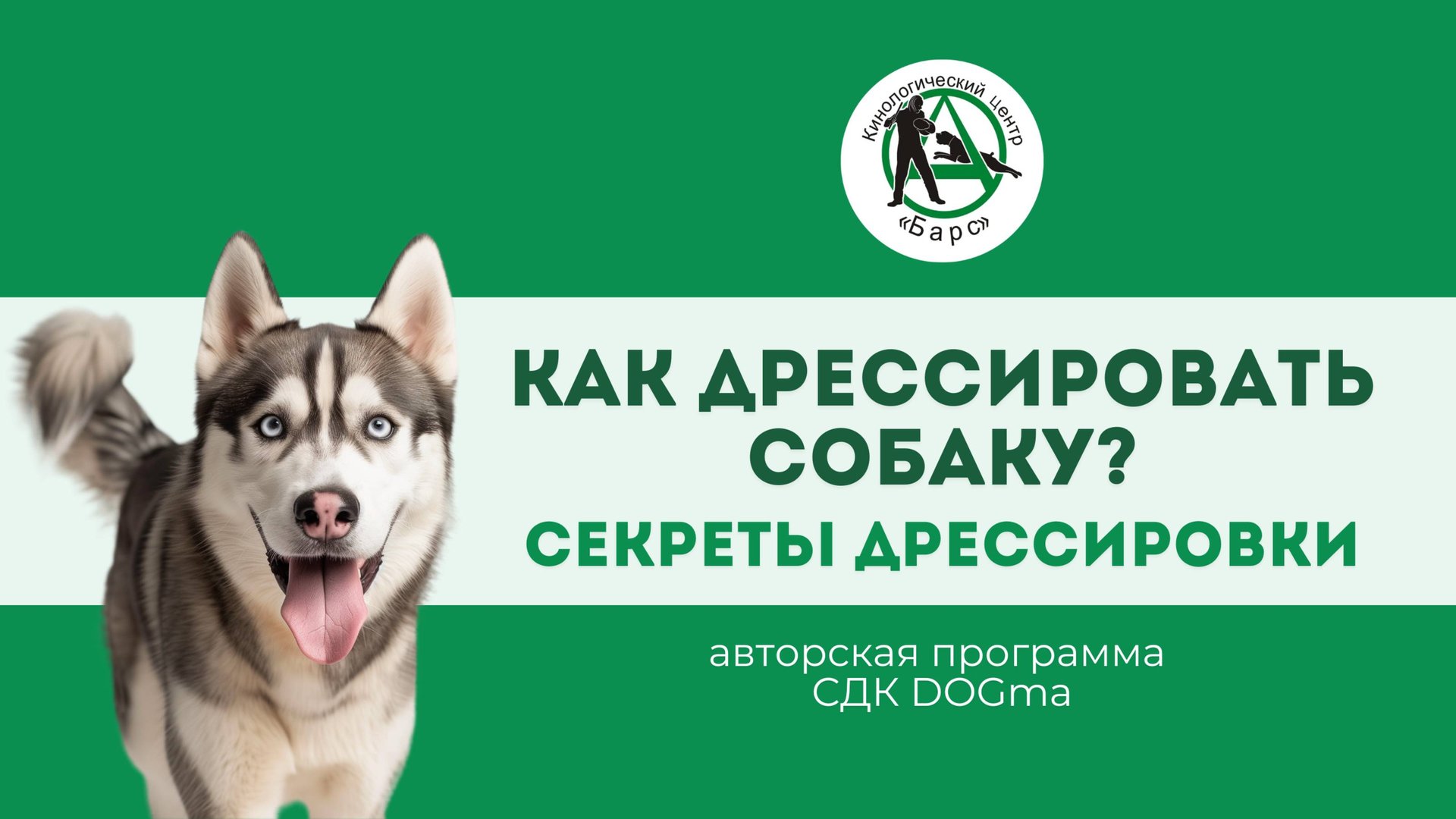 Как дрессировать собаку? смотреть онлайн