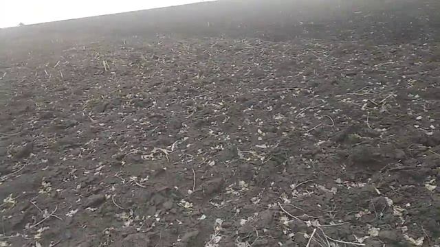 Посів ярого ячменю. смотреть онлайн
