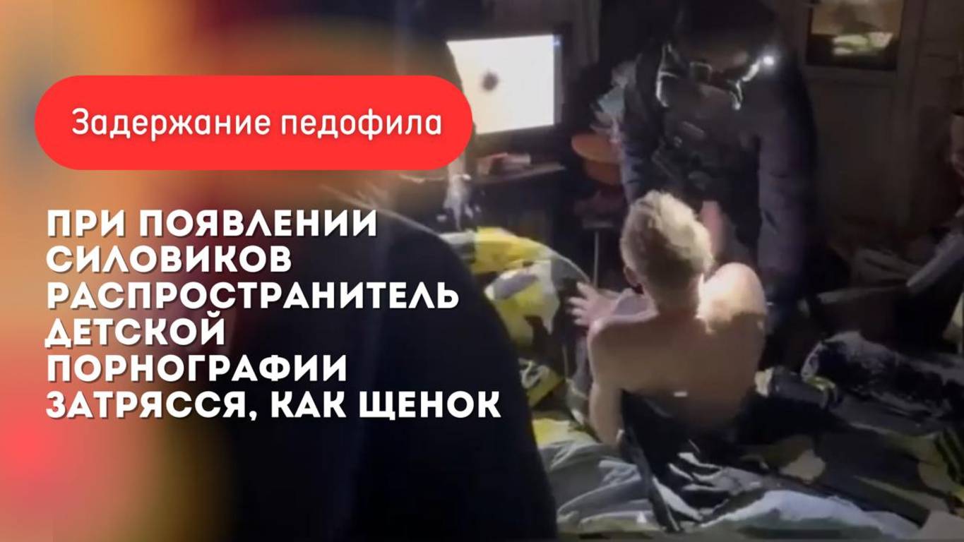 При появлении силовиков распространитель детской порнографии затрясся, как щенок смотреть онлайн