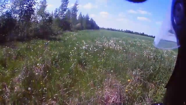 Газуем на питбайках по жести