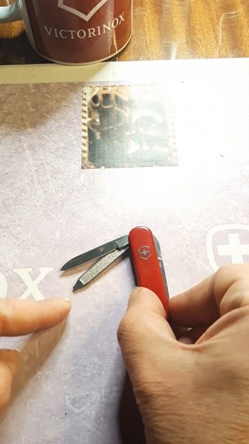 Victorinox: Bijou sd #victorinox #bijou #navajas смотреть онлайн