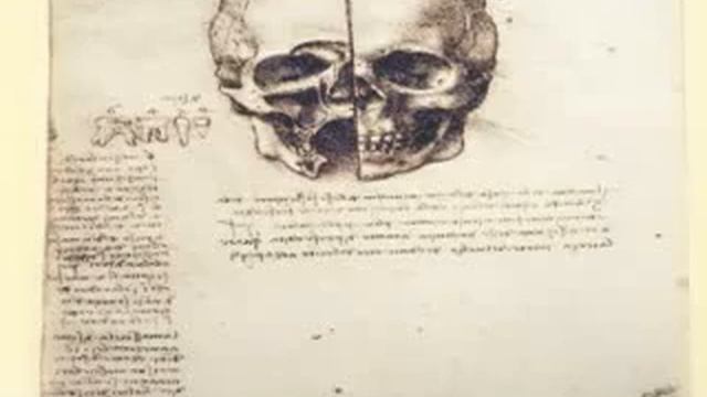 Leonardo Da Vinci Anatomy смотреть онлайн