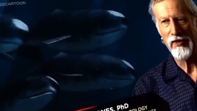 @MEGASHAEK2010s : OTODUS MEGALODON JURASSIC FIGHT CLUB 14 смотреть онлайн