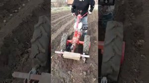Закопать картошку при посадке легко!