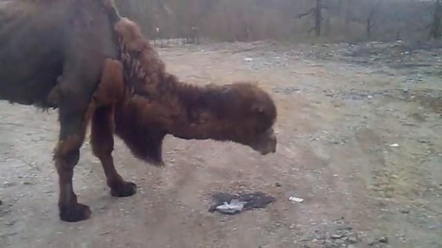 02042013078.mp4 смотреть онлайн