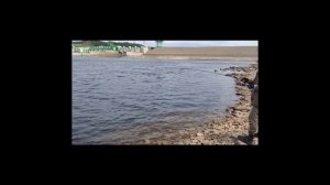 Спиннинг для джига Hearty Rise Pro Force 2 812ML. Опыт использования, мнение .