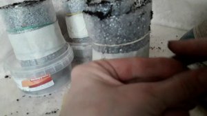 Посев лука на рассаду. Лук-порей, штутгартен ризен, эксибишен.