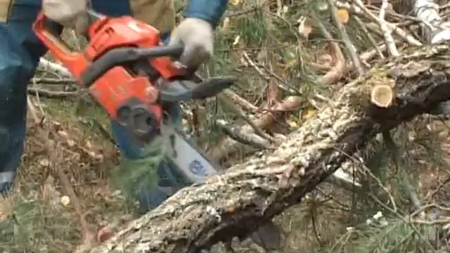 мрск расчистка просек 21 10 14 смотреть онлайн