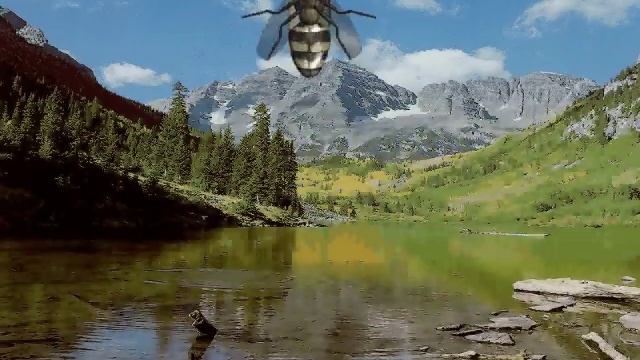 3ds Max/After Effects Fly смотреть онлайн