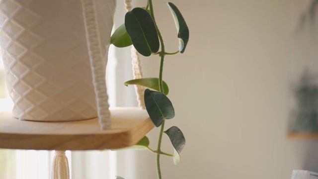 Simple Self Care Habits To Get Back Into A Healthy Routine | Slow Living смотреть онлайн