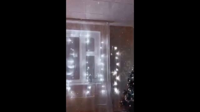 ель белая смотреть онлайн