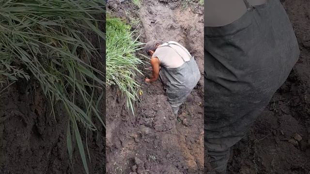 Новошахтинск ООО ДОНРЕКО смотреть онлайн