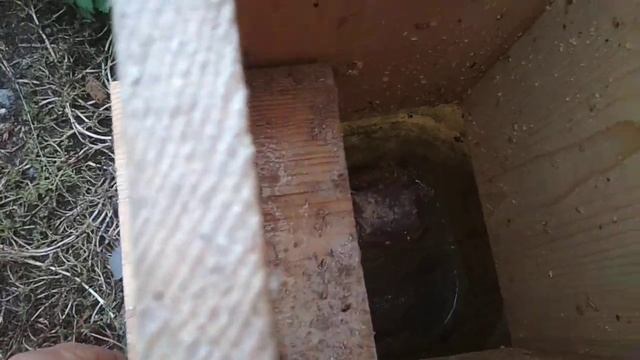 Крысоловка.., неплохой вариант. смотреть онлайн
