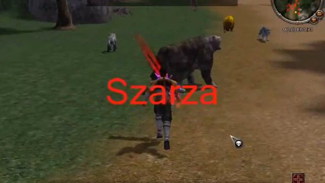 Metin2 Pokaz skilli na P by MontrisPL смотреть онлайн
