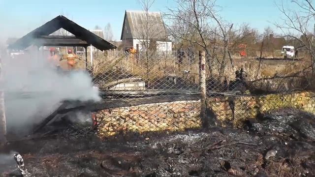 Палы травы март 2015 смотреть онлайн
