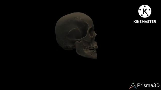 [P3D/FNAF]Turn The Lights Off смотреть онлайн