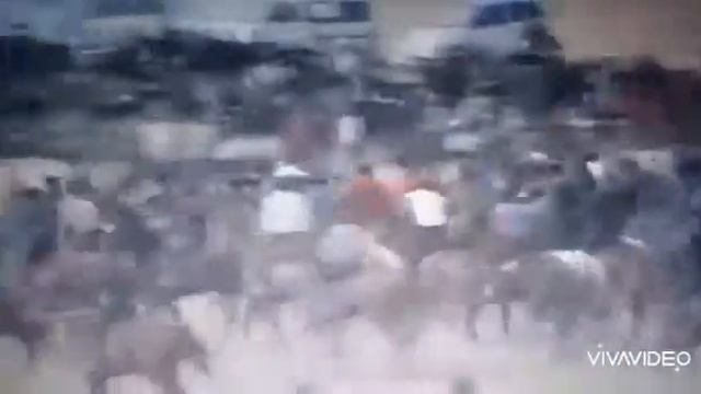 Кокон смотреть онлайн