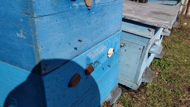 Первые весенние работы на пасеке 🐝🐝🐝 смотреть онлайн