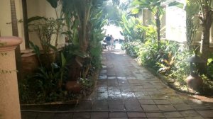 Thai House Beach Resort,  Koh Samui, Thailand