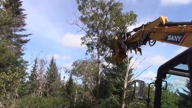 2 Torrent Mulchers tag team - tear up trees - Mini excavator CAT 305E and a larger SANY SY135C смотреть онлайн