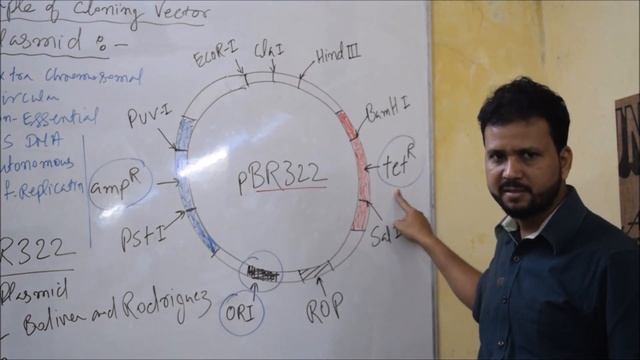 Cloning Vector | PART 2 | PBR322 AND PUC8 | NCERT BIOLOGY | NEET | AIIMS смотреть онлайн
