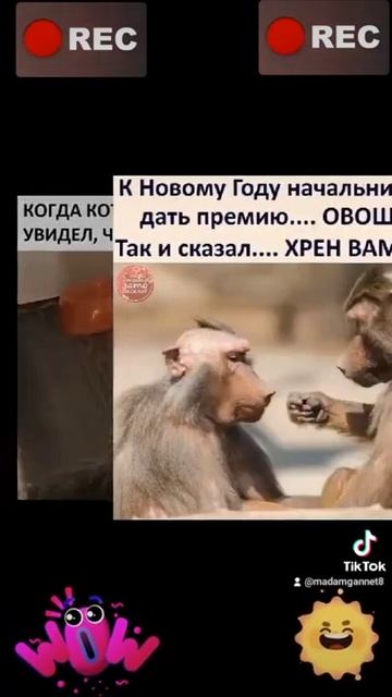 🧐😆😆😆 смотреть онлайн