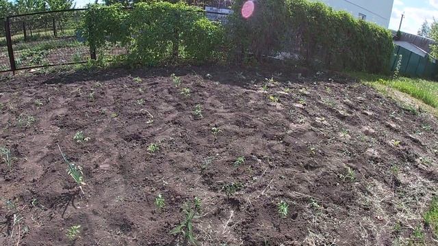 Прогулка по огороду.Бассейн. смотреть онлайн