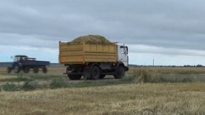 УЭС-280 «Полесье» на уборке зерносенажа