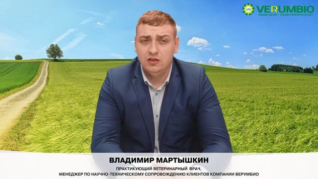 Определяем стельность на ранних сроках. С 28 дня.