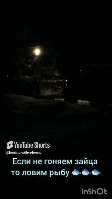 Если не гоняем зайца то ловим рыбу 🐟 🐟 🐟. #рыбалка #fishing #щука#охотасгончей#топ #hunting #tro смотреть онлайн