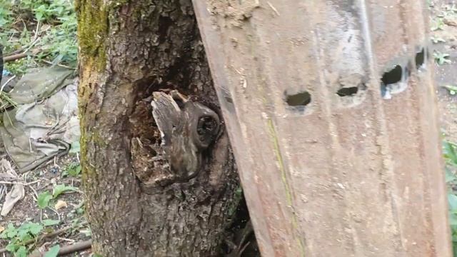 Пресс-подборщик Claas Rollant 250 погрузка, ремонт и прокрутка.