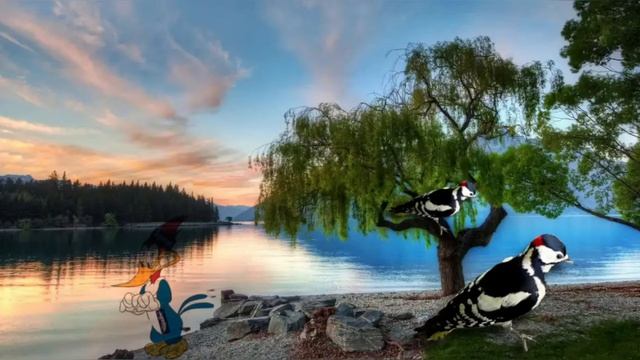 Просто расслабьтесь успокойтесь смотреть онлайн