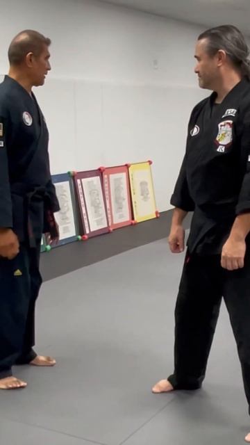 Sports generating power use motion physics and repetitively to master. #edparker #kenpo #karate #mr смотреть онлайн