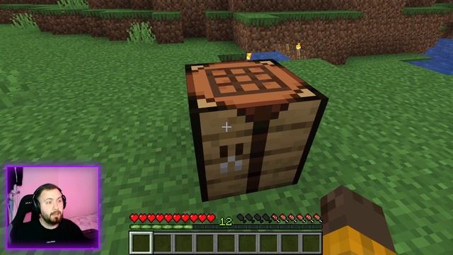 MINECRAFT для новичков (первые шаги в minecraft) смотреть онлайн