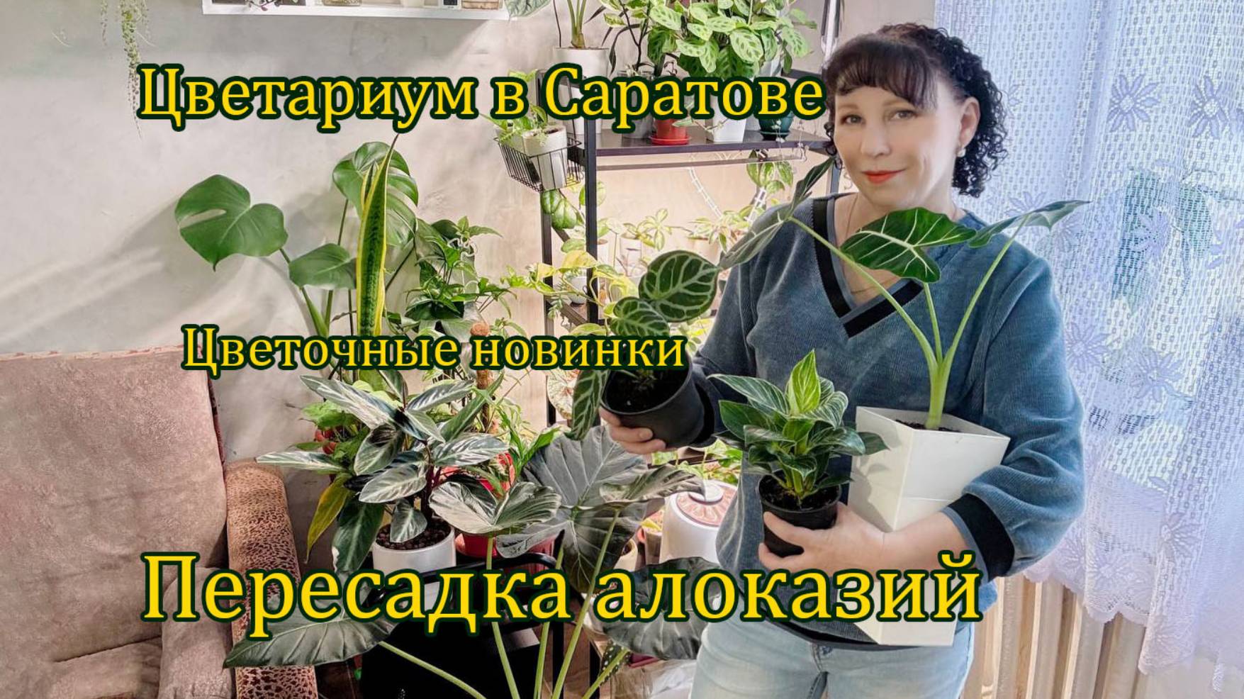 Цветариум в Саратове, новинки растений + пересадка. смотреть онлайн