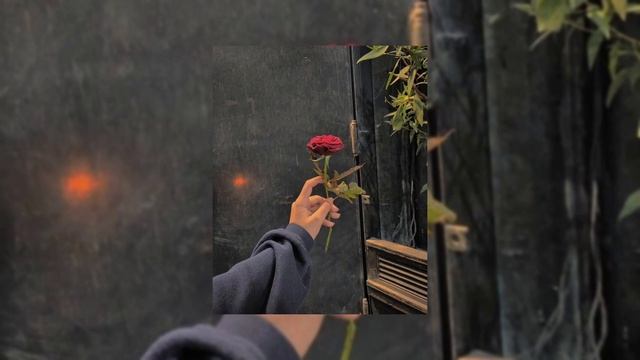 Serik Ibragimov X AZNUR - Бізде ше? (Remix)