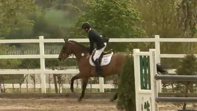 SOLD Castle Hill Clover Pony смотреть онлайн