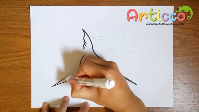 How to Draw Marlin Step by Step Easy смотреть онлайн