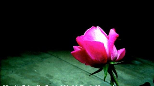 Can't Take My Eyes Off Of You [Experimental Cover]