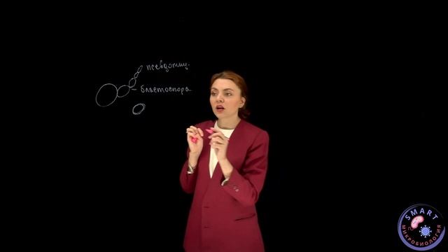 Дрожжевой гриб Candida Spp.