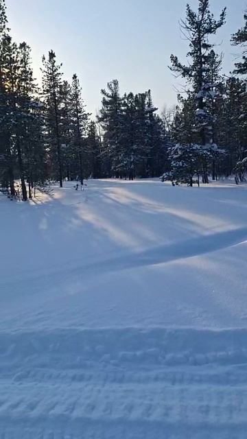 Весна в Сибири.mp4