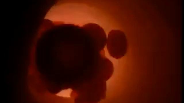 BBC. Сверхчеловек.flv смотреть онлайн