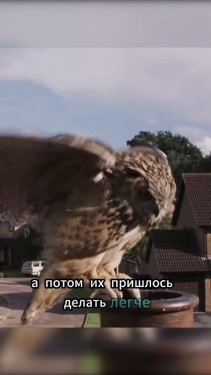 ГАРРИ ПОТЕР ИНТЕРЕСТНЫЙ ФАКТ