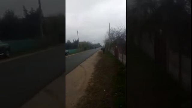ВИТЁК ЧТО ИЗ П...Ы УТЁК смотреть онлайн