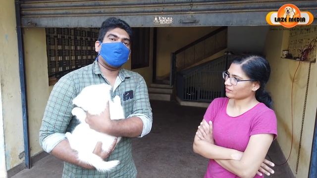 😀😀സമ്മാനം കൊടുക്കുന്നു : LAZE MEDIA PRIZE WINNER : INDIAN SPITZ PUPPY : 60 DAYS OLD : CARING TIPS смотреть онлайн