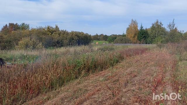 мульчирование перед пахотой смотреть онлайн