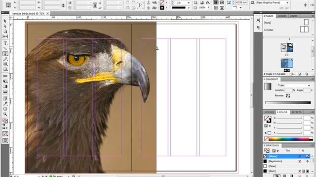 InDesign CS5 - Revista básica - Parte 4 de 8: vetorização смотреть онлайн