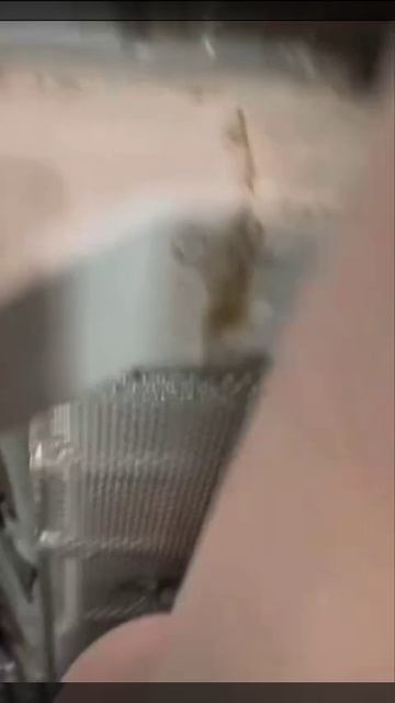 Chery tiggo 8 pro max 👍 не удивлён 😁