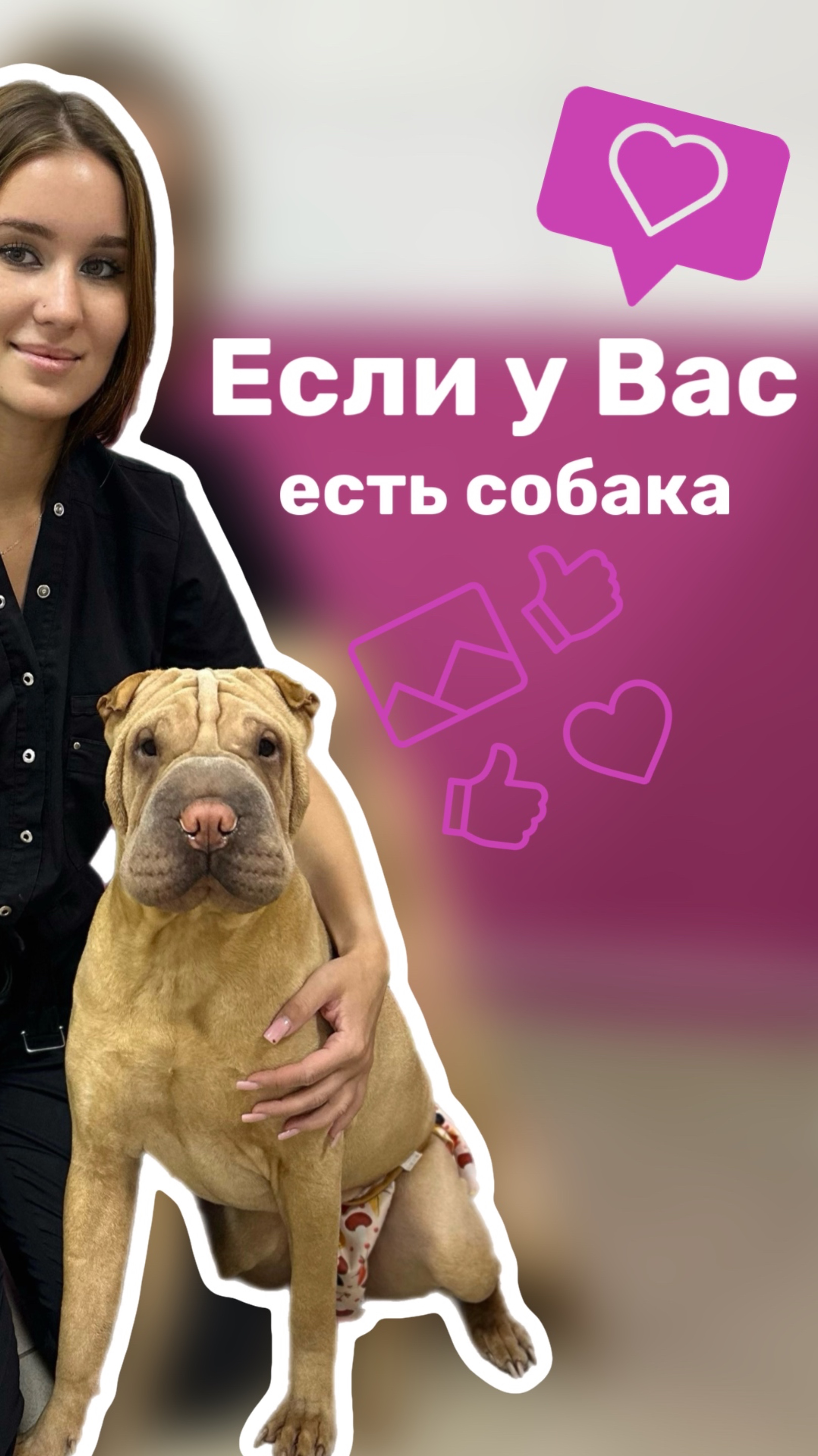 МИФЫ про ЗДОРОВЬЕ собак ✅