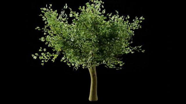 Lowpoly Tree Render (Done in Blender) смотреть онлайн